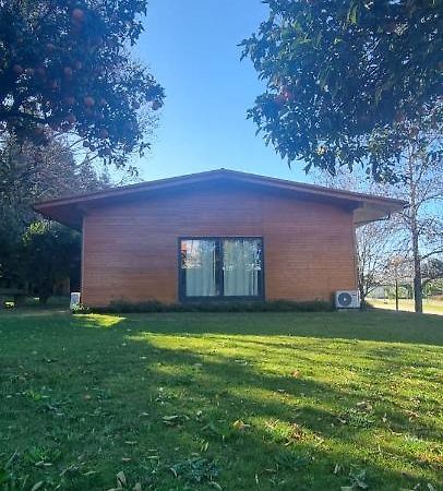 Гостевой дом Casa Da Ferreirinha Faldejaes Экстерьер фото